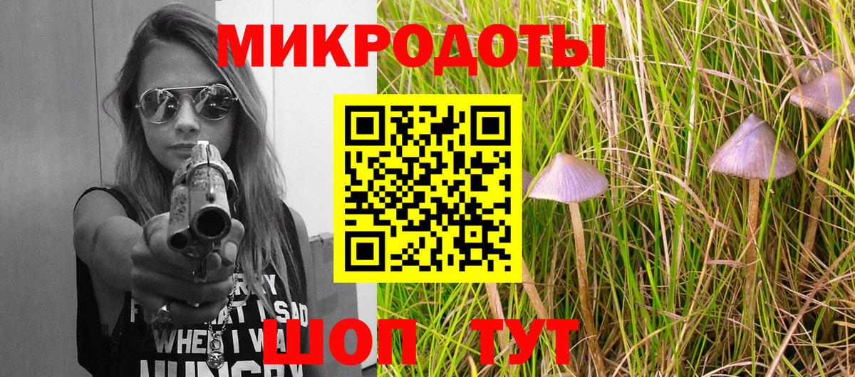 Галлюциногенные грибы GOLDEN TEACHER  Вход с VPN  где продают наркотики  Минусинск 